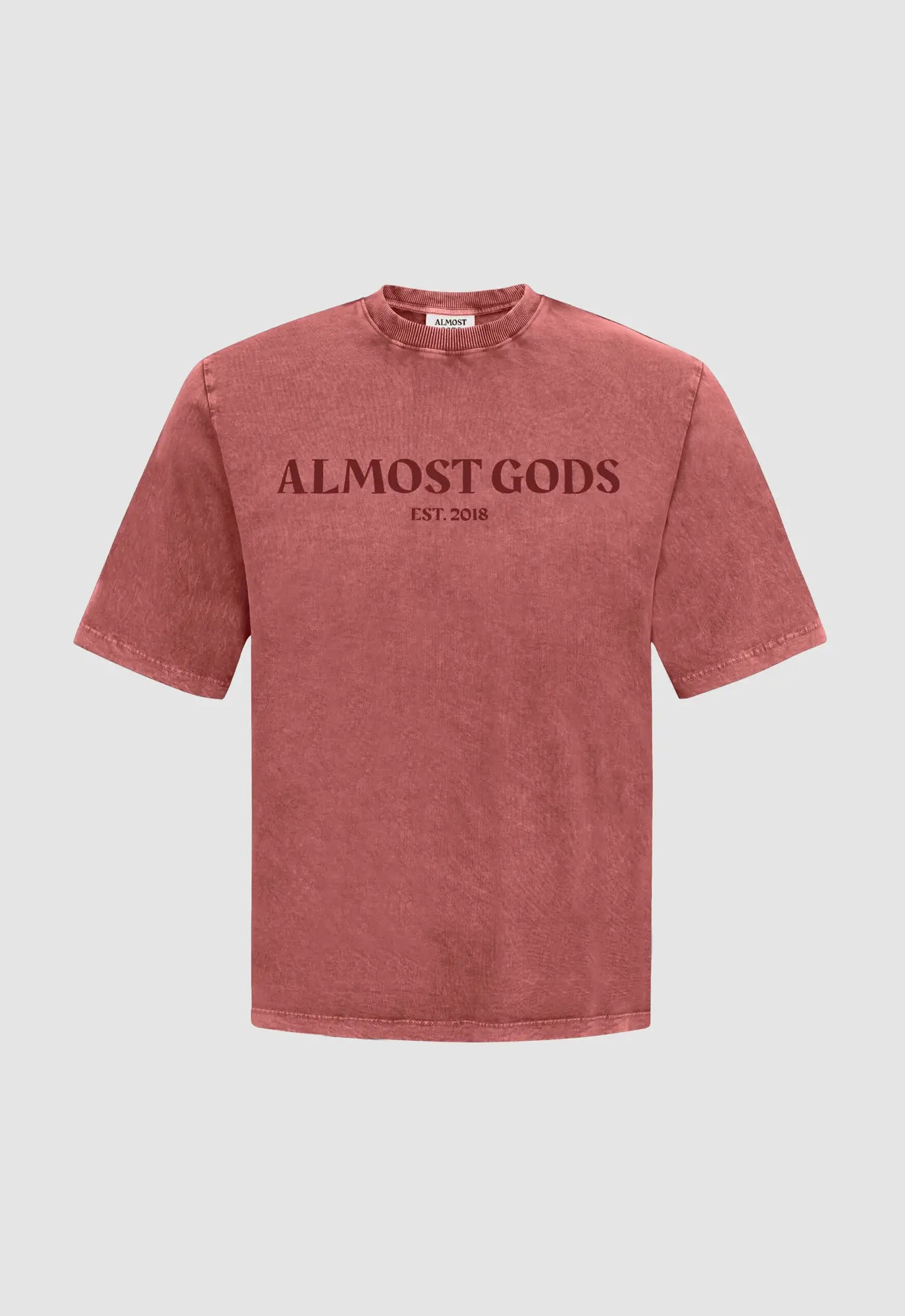 Stonewashed Almost Gods Tee In Clay