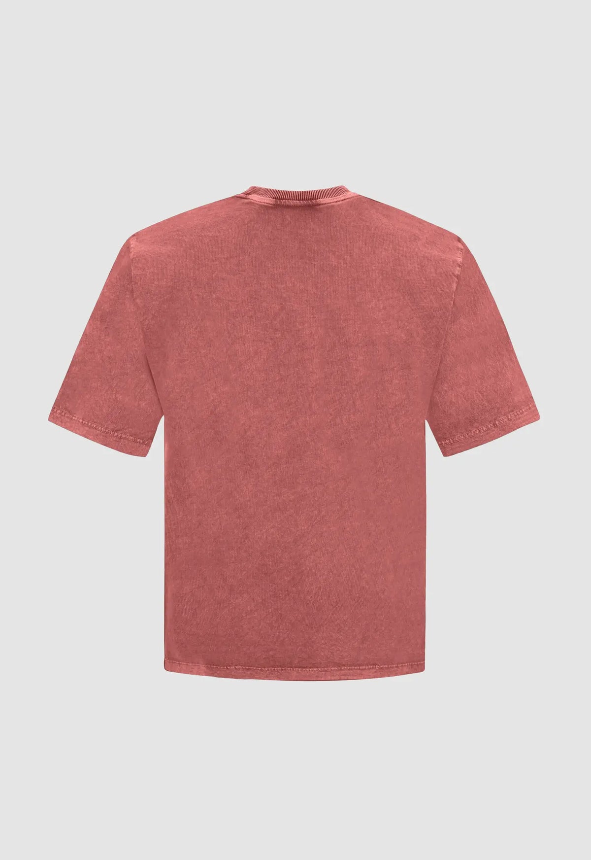 Stonewashed Almost Gods Tee In Clay