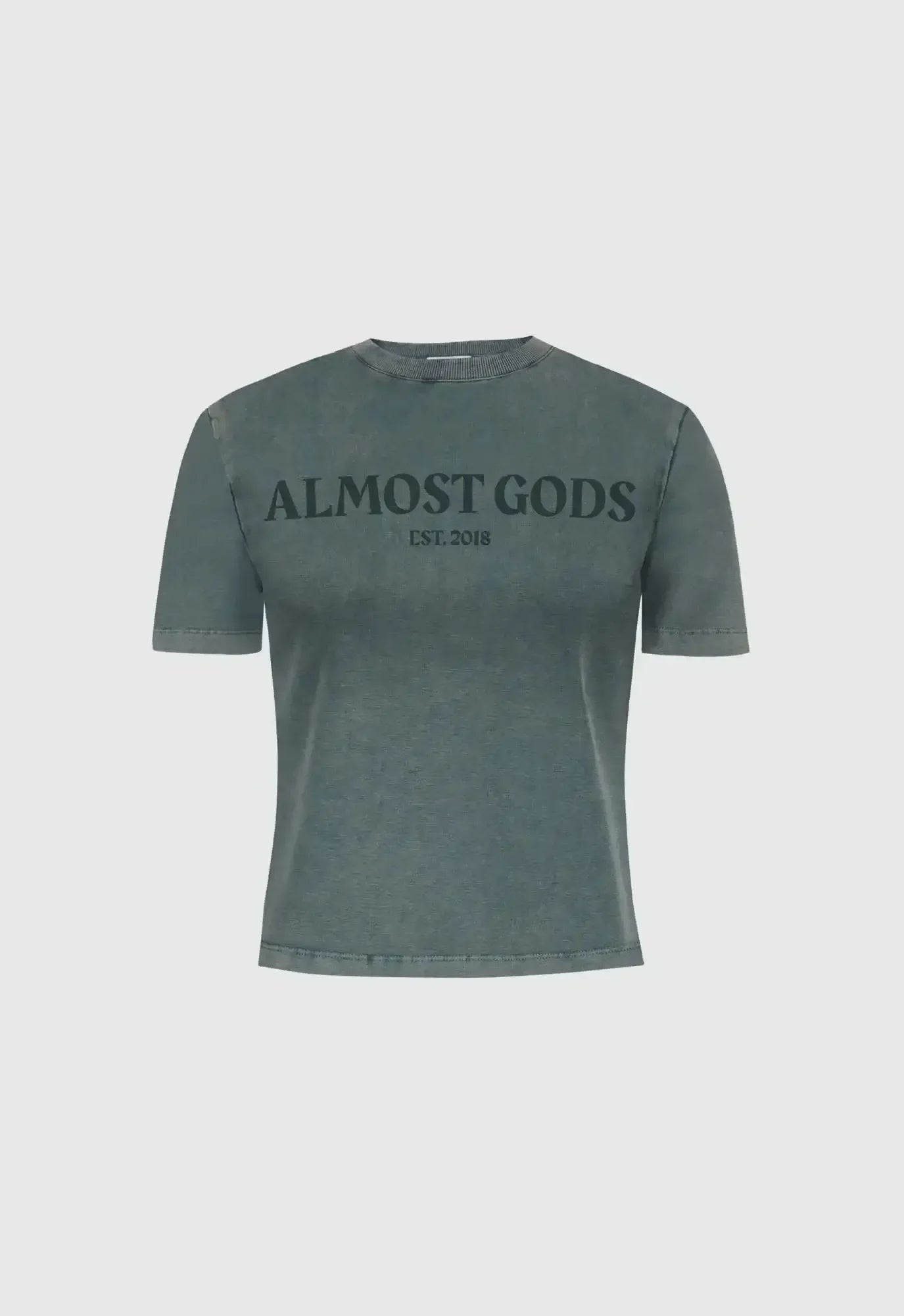 Stonewashed Logo Relaxed Tee In Granite