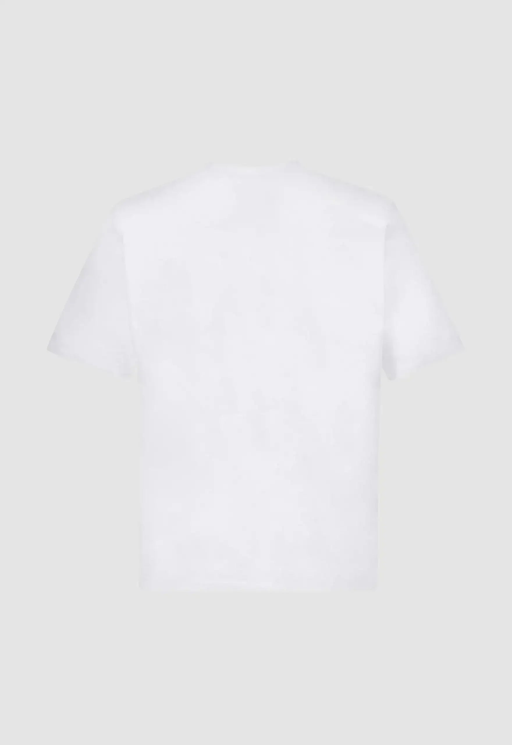 Dragon Activism Boxy Tee